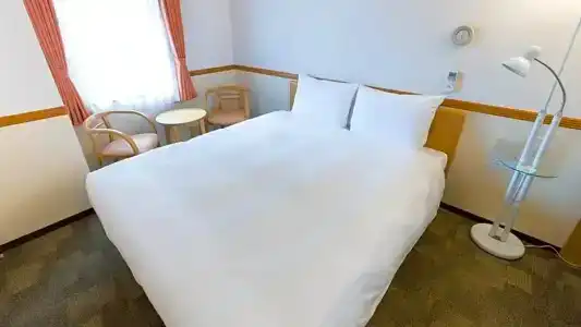 Toyoko Inn Ekimae - 94