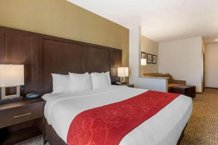 Comfort Suites Airport Convention Center - 51