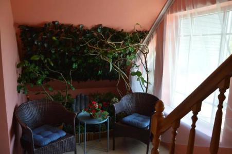 Kapučīno apart - 7