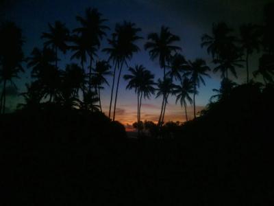 Ocean View - 16