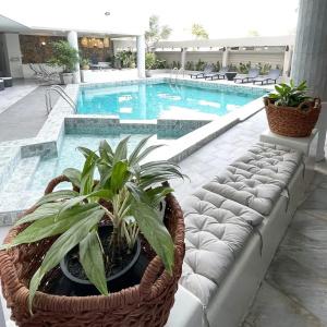 Garden Paradise - 31
