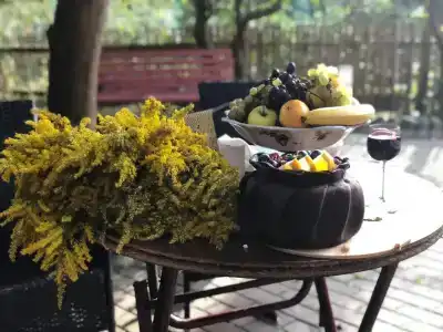 Villa la familia - 18
