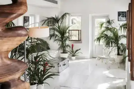 Belvedere Mykonos - Main - 13