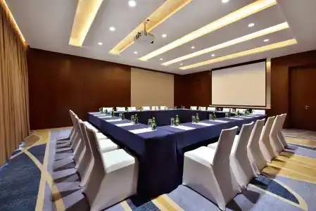 Hilton Garden Inn Chengdu Huayang - 16