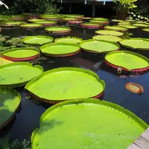Muaan - 28