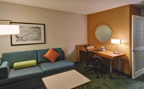 SpringHill Suites by Marriott Dallas NW Highway at Stemmons / I-35East - 6