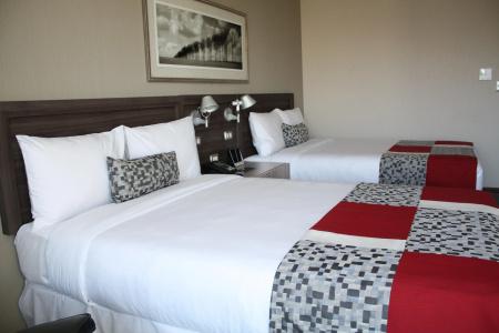 Radisson Blu Plaza El Bosque - 5