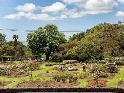 Auckland Rose Park - 22