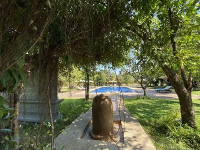 Mane Hariharalaya - 18