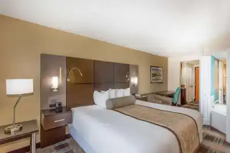 Wingate by Wyndham - Orlando International Airport - 67