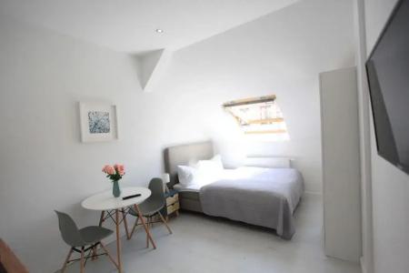 Zollikof Aparts - Sauna & Studio - 114