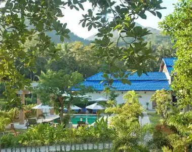 Wonderland Healing Center - 24