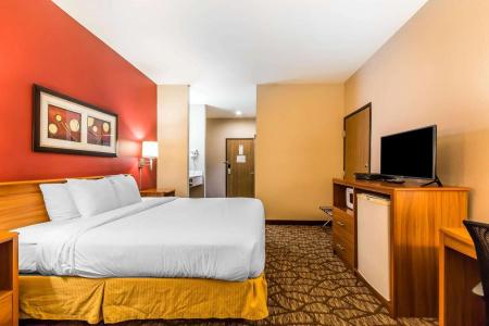 Quality Inn & Suites Chesterfield Village - 16