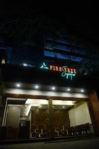 Pine Tree Signature - 21