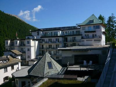 Bären - 0