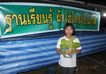 Go Green Resort - 9