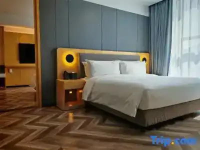 Holiday Inn Xi'An High-Tech Zone, An Ihg - 107