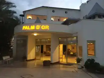 Palm D'or - 1