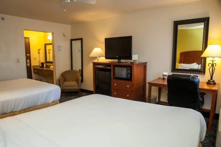 Holiday Inn Express Tucson-Airport, An Ihg - 4