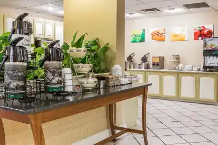 Quality Inn at the Mall - - 12