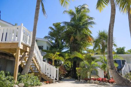Coconut Palm Inn - 24