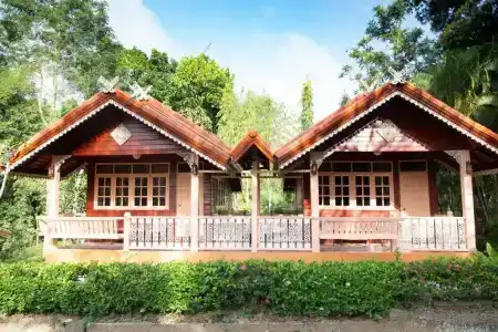 Baanpufa - 181