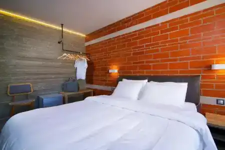 Urban Donkey - 69