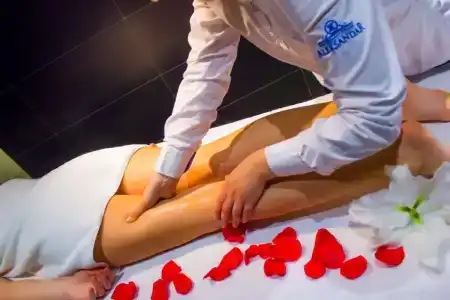 Aleksandar Rafailovići - 16