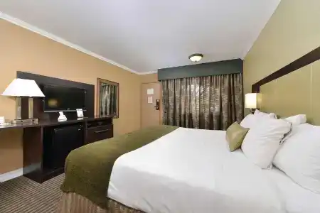 Best Western Royal Sun Inn & Suites - 75