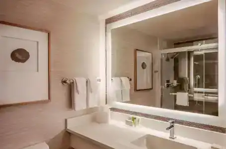 Hilton Denver City Center - 42