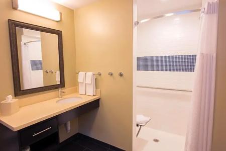 Home2 Suites by Hilton Albany Airport/Wolf Rd - 100