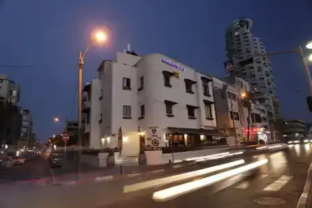 Olive Tlv 88 Sea - 33