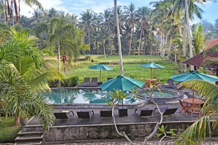 Bhanuswari Resort & Spa - 17