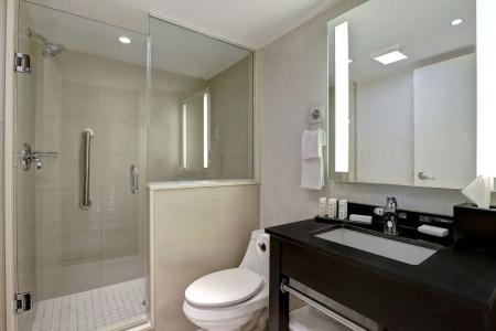 Embassy Suites by Hilton/ Fallsview - 8