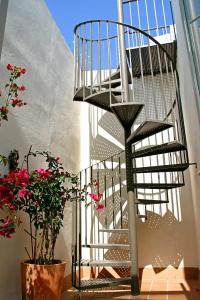 Boutique Casas de Santa Cruz - 24