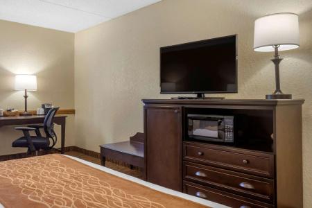 Comfort Inn at Thousand Hills - 54