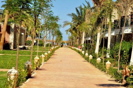 Aladdin Beach Resort - Families and Couples Only - 18