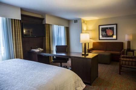 Hampton Inn & Suites - 100