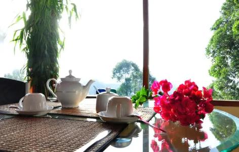 Sky Green Resort - 42