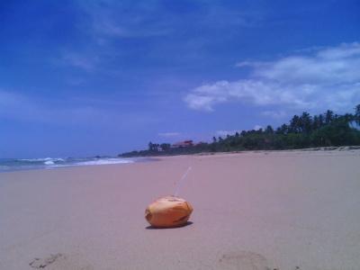 Ocean View - 11