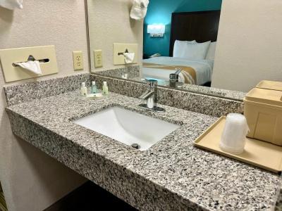 Quality Inn & Suites Near University - 23