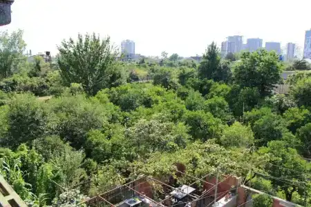 Green House - 24