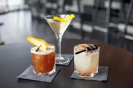 Radisson Blu, Mannheim - 8