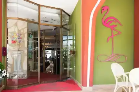 Flamingo - 19