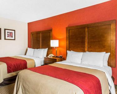 Comfort Inn Boston - 40