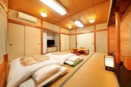 Fujinomiya Green - 44