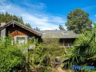 Adonis Inn - 4