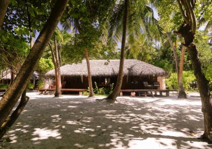 Medhufushi Island Resort - 29