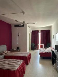 Roma - 20