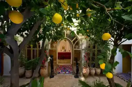 Riad Jnane d'Ô - 4